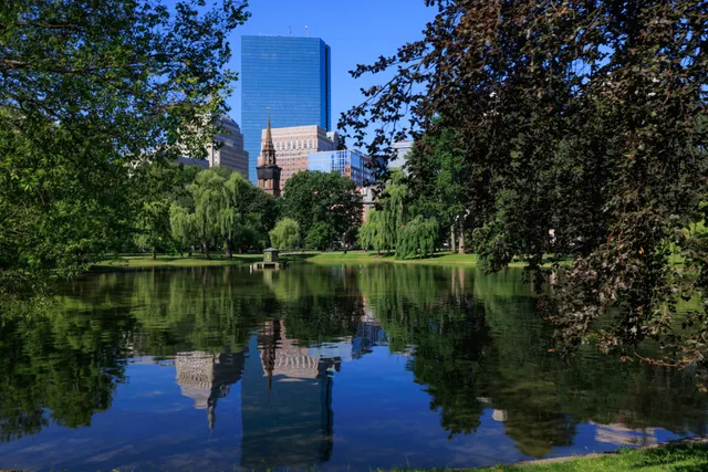 Trees and buildings reflected in the pond at Boston Public Garden.